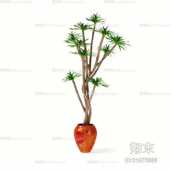 绿色盆栽3D模型下载【ID:31975886】