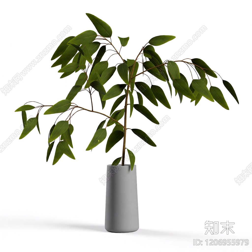 盆栽植物装饰3D模型下载【ID:1206955979】
