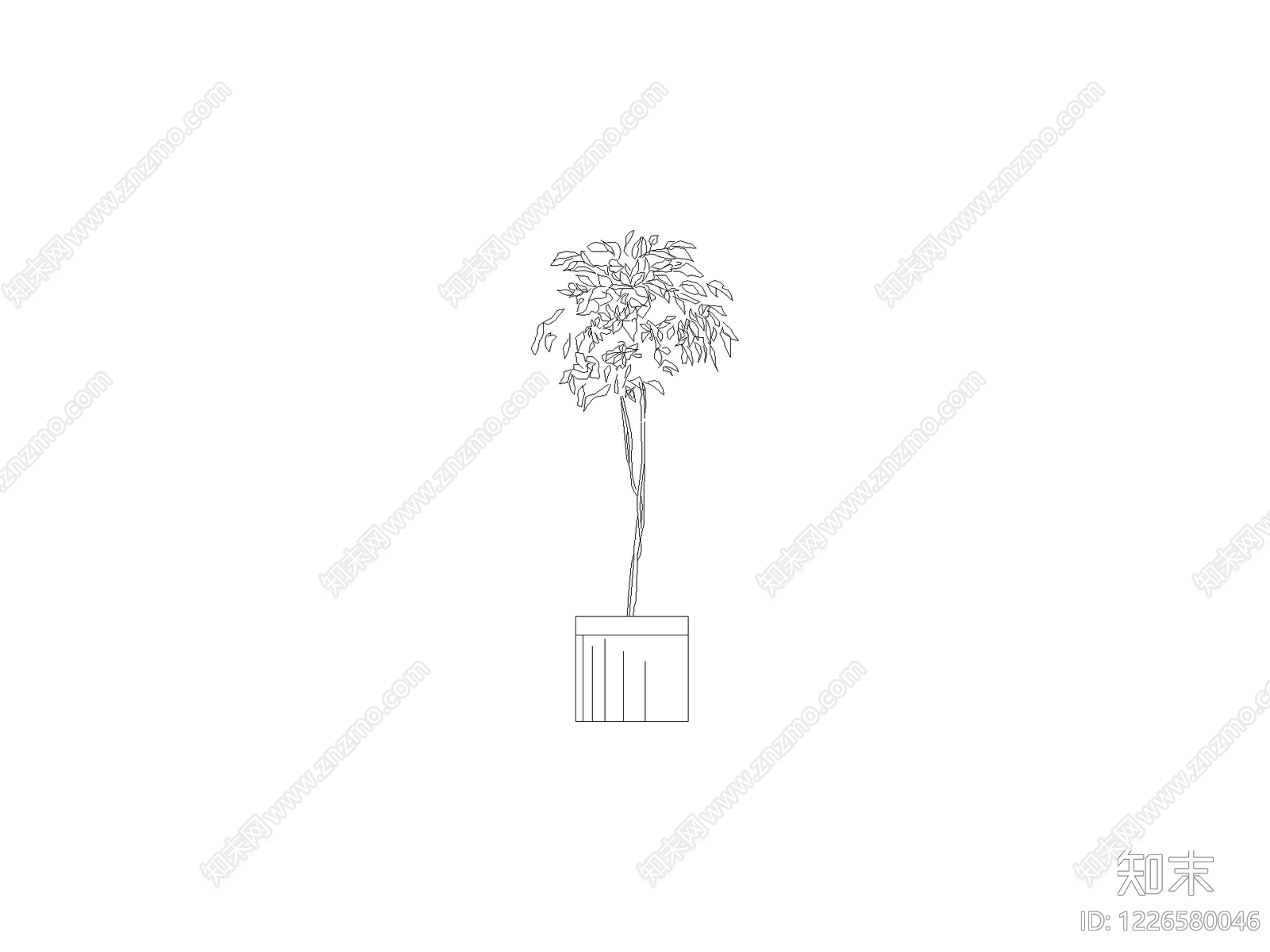 绿植cad施工图下载【ID:1226580046】