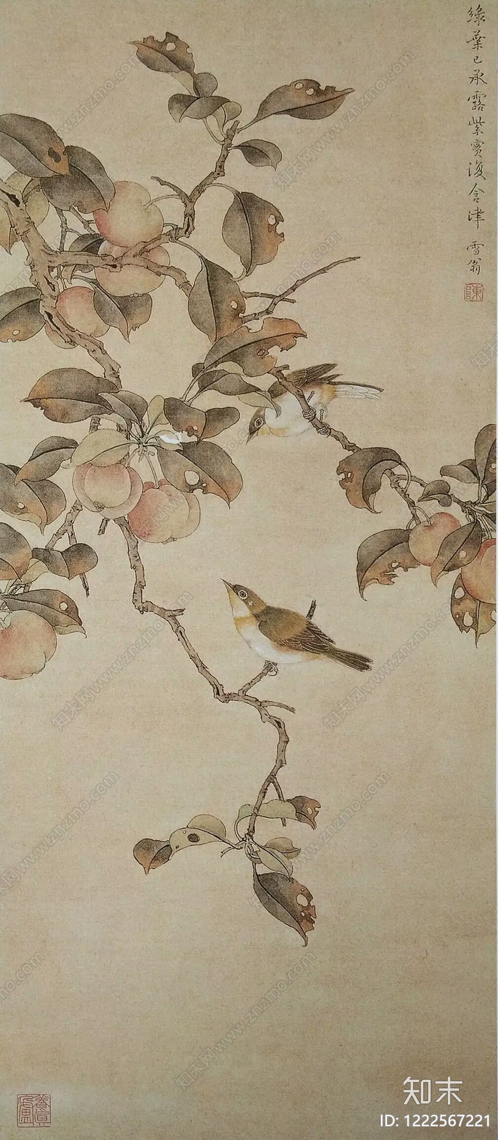 花鸟壁纸高清贴图材质