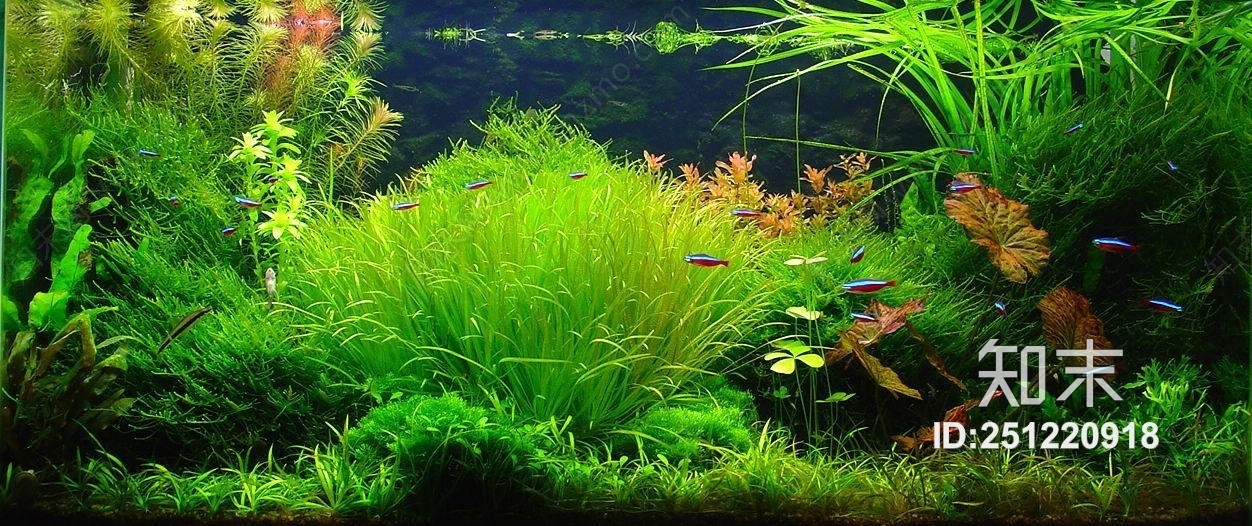 植物墙贴图贴图下载【ID:251220918】