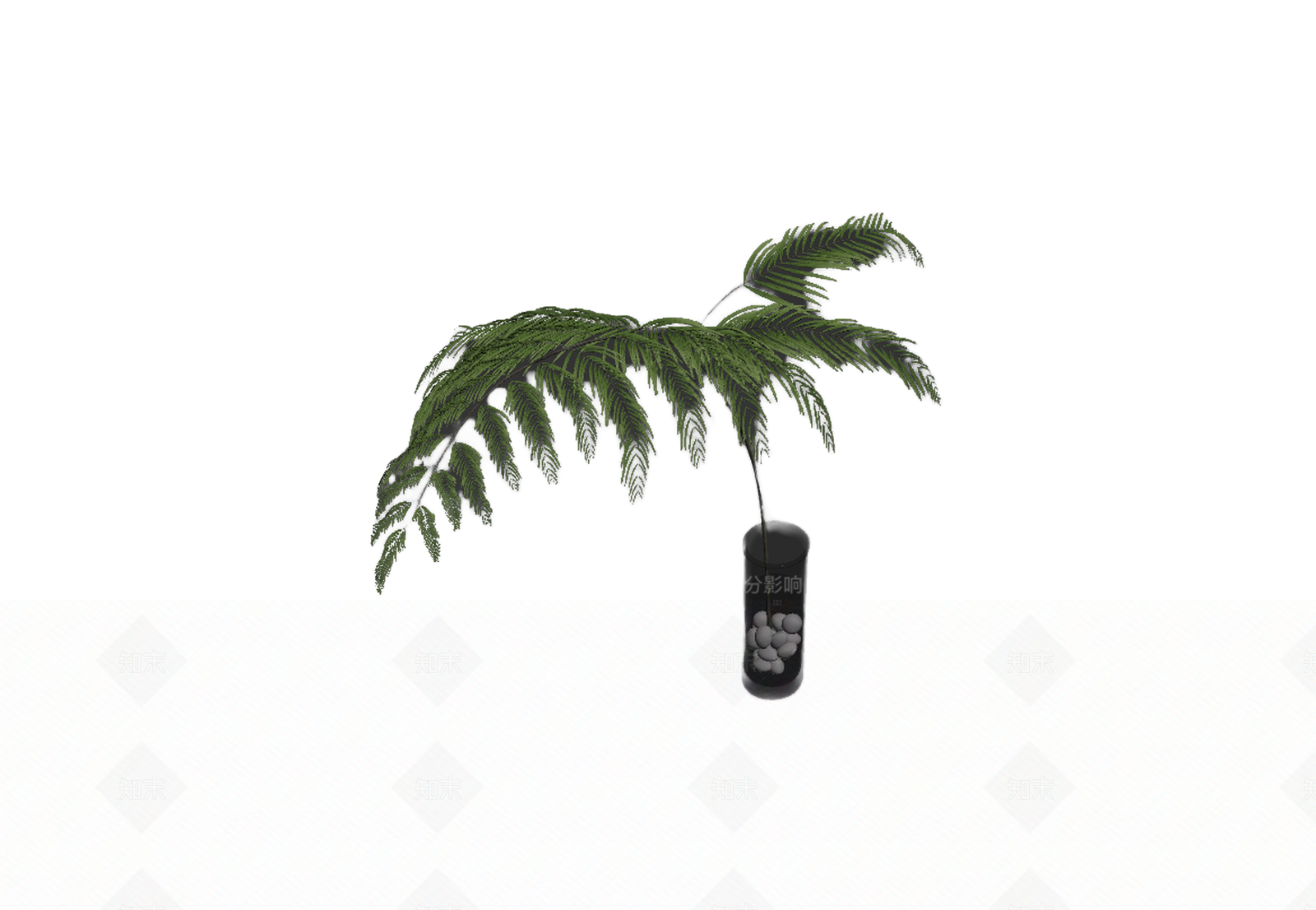 带盆蕨类植物3D模型下载【ID:1206203623】