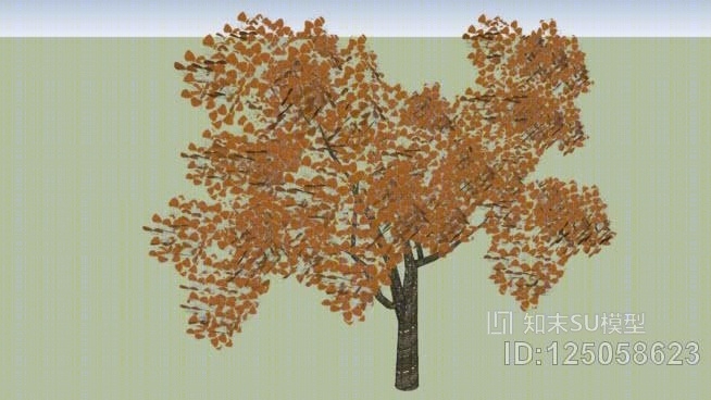 秋树SU模型下载【ID:125058623】