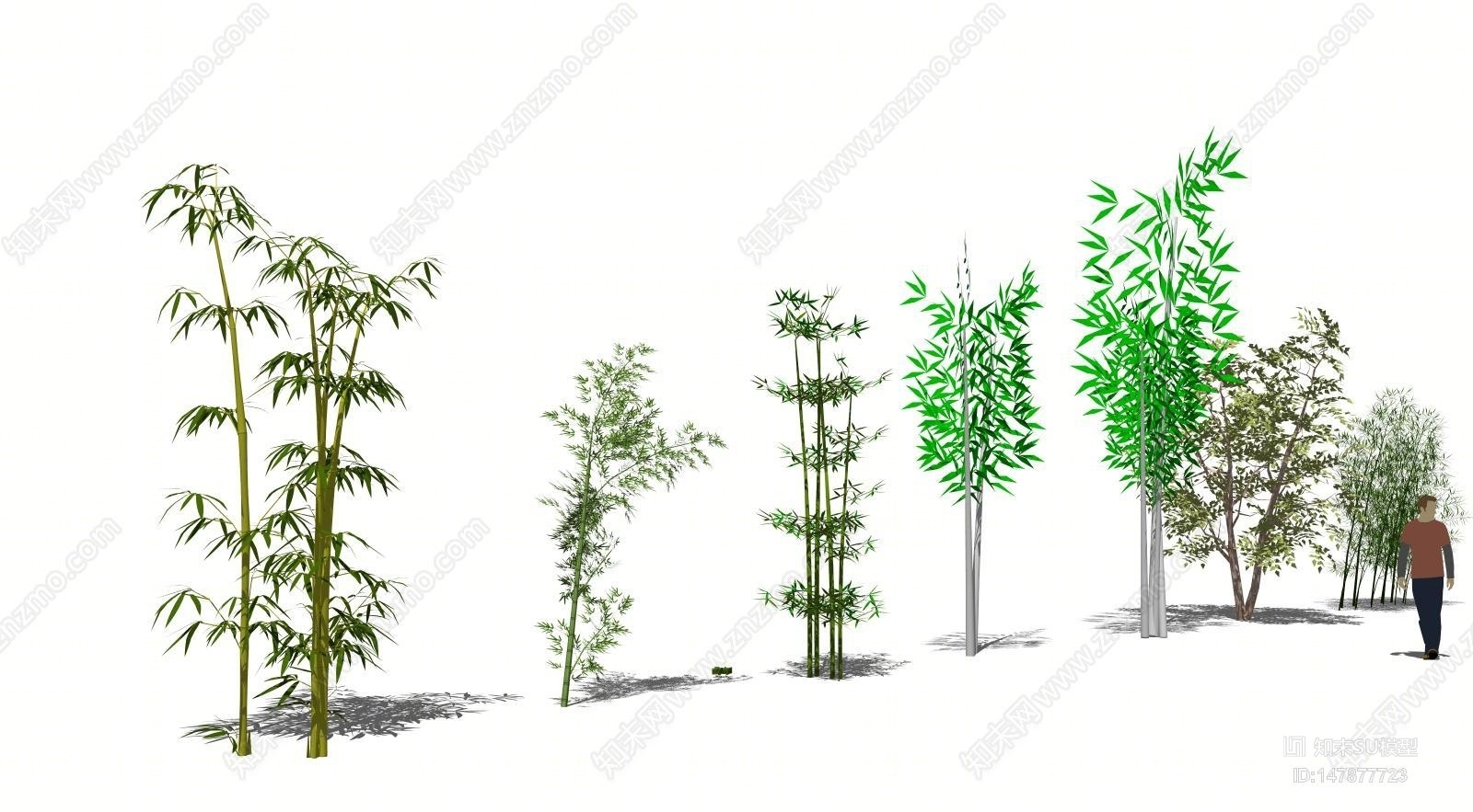 新中式竹文化植物竹子SU模型下载【ID:147877723】