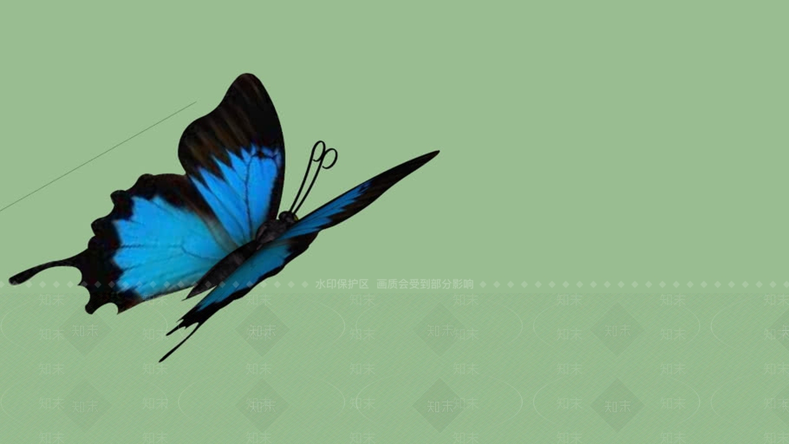 蝴蝶SU模型下载【ID:1162229764】