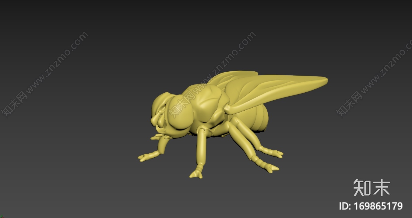苍蝇3d打印模型下载【ID:169865179】