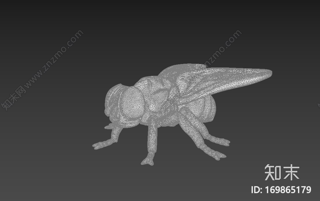 苍蝇3d打印模型下载【ID:169865179】