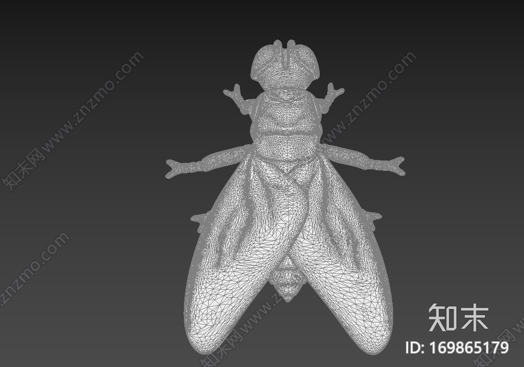 苍蝇3d打印模型下载【ID:169865179】