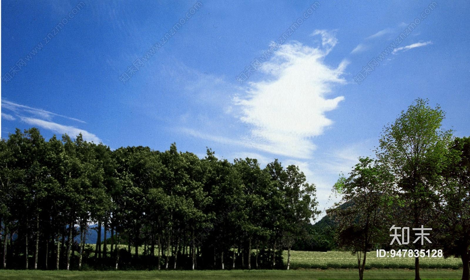 白天户外贴图下载【ID:947835128】