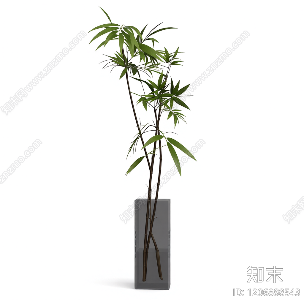 竹子盆栽植物3D模型下载【ID:1206888543】
