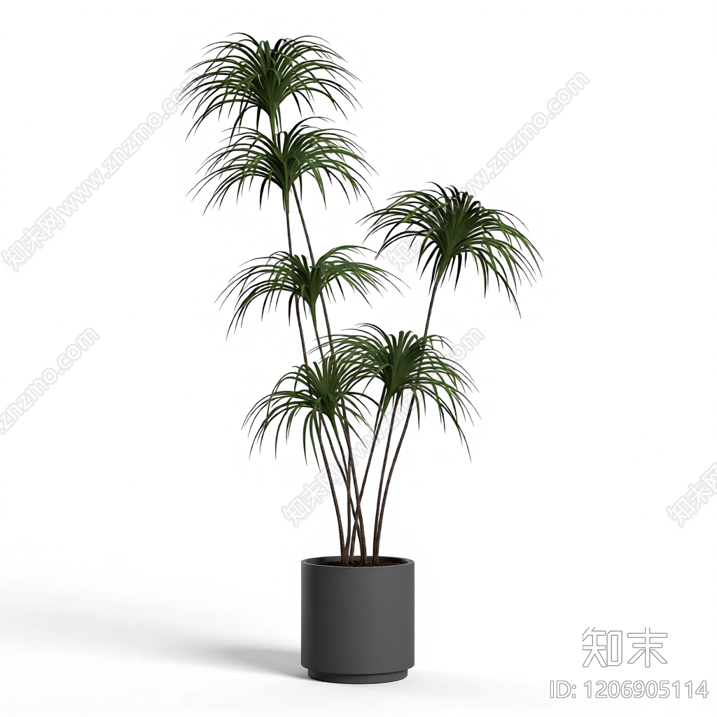 盆栽植物组合3D模型下载【ID:1206905114】
