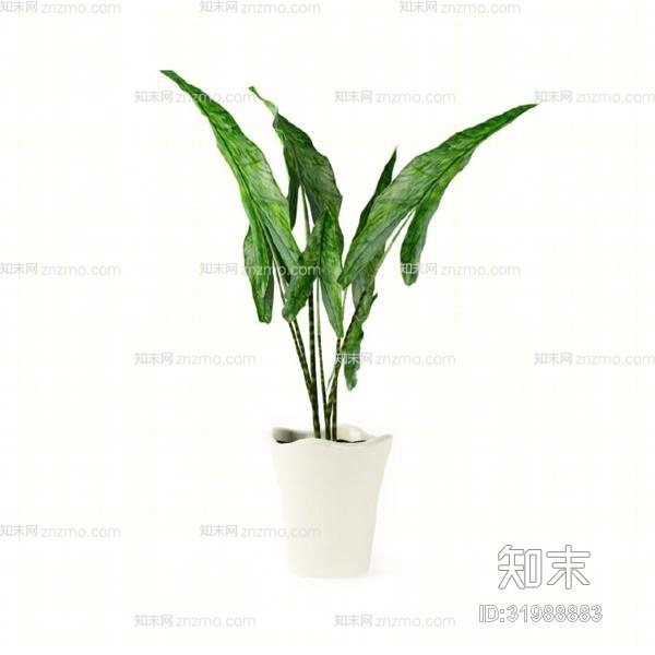 绿色盆栽3D模型下载【ID:31988883】