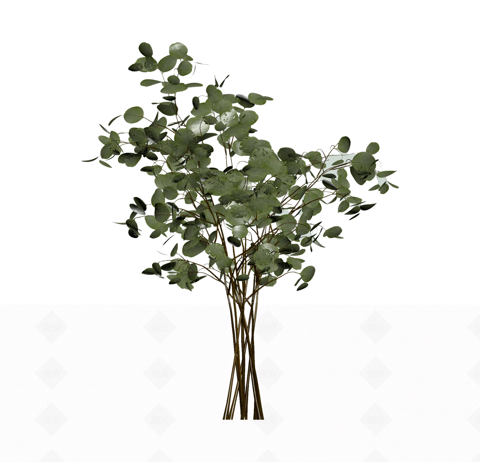 圆形叶植物模型3D模型下载【ID:1206192124】