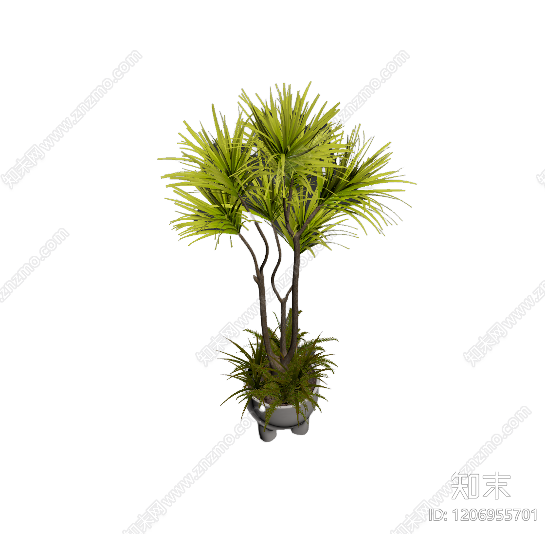 盆栽植物装饰3D模型下载【ID:1206955701】