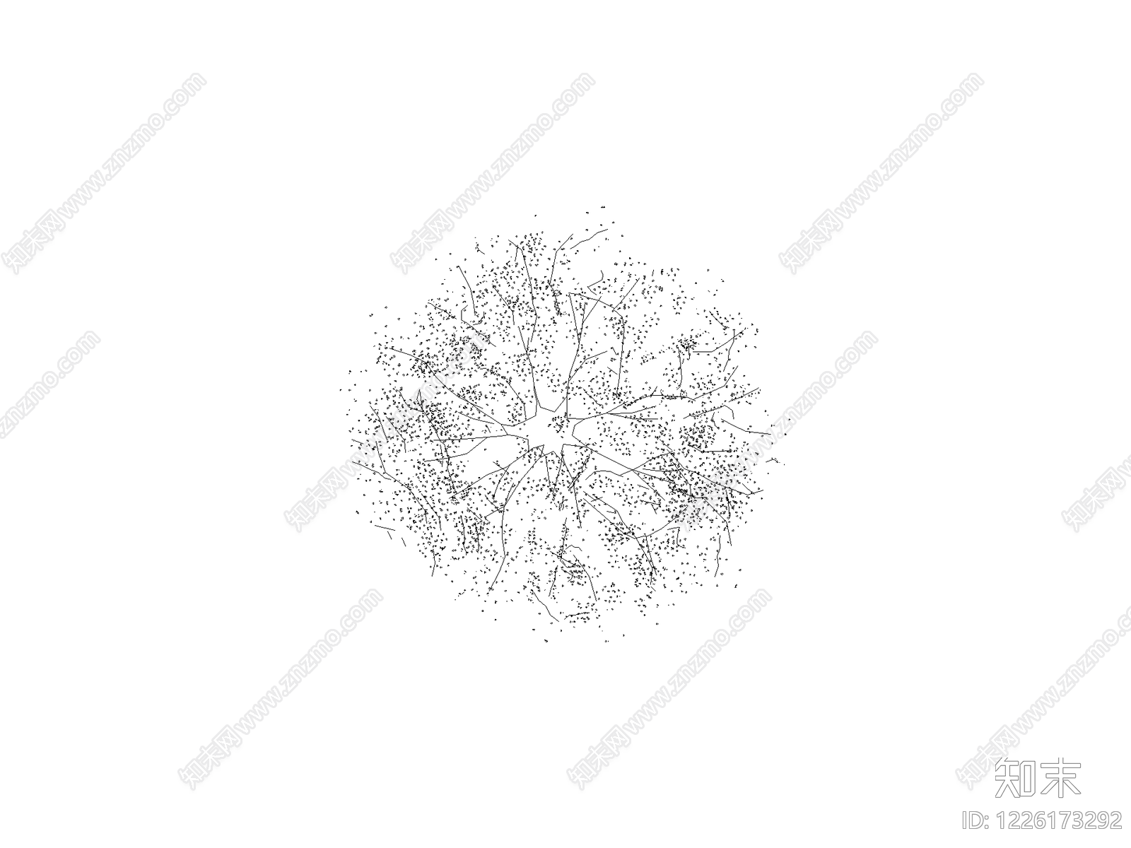现代乔木种植CAD图纸