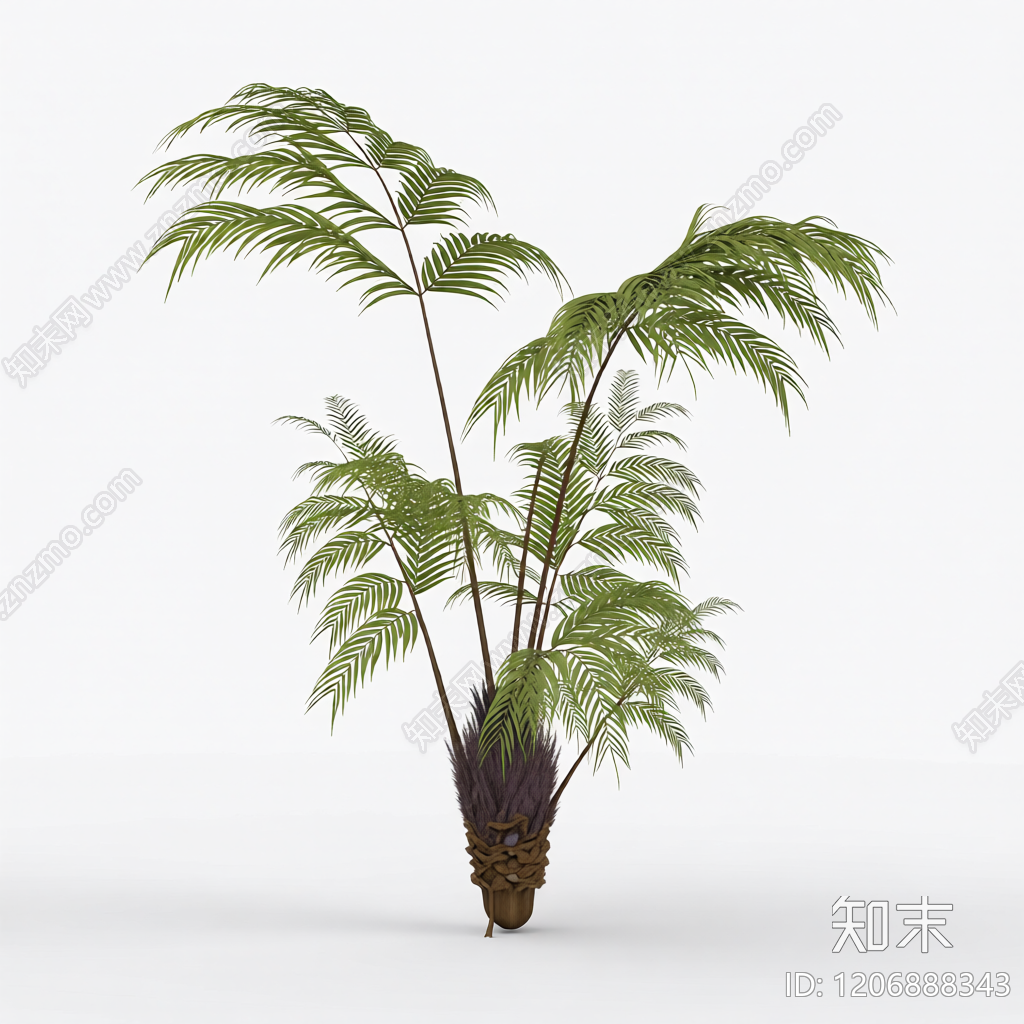 盆栽蕨类植物3D模型下载【ID:1206888343】