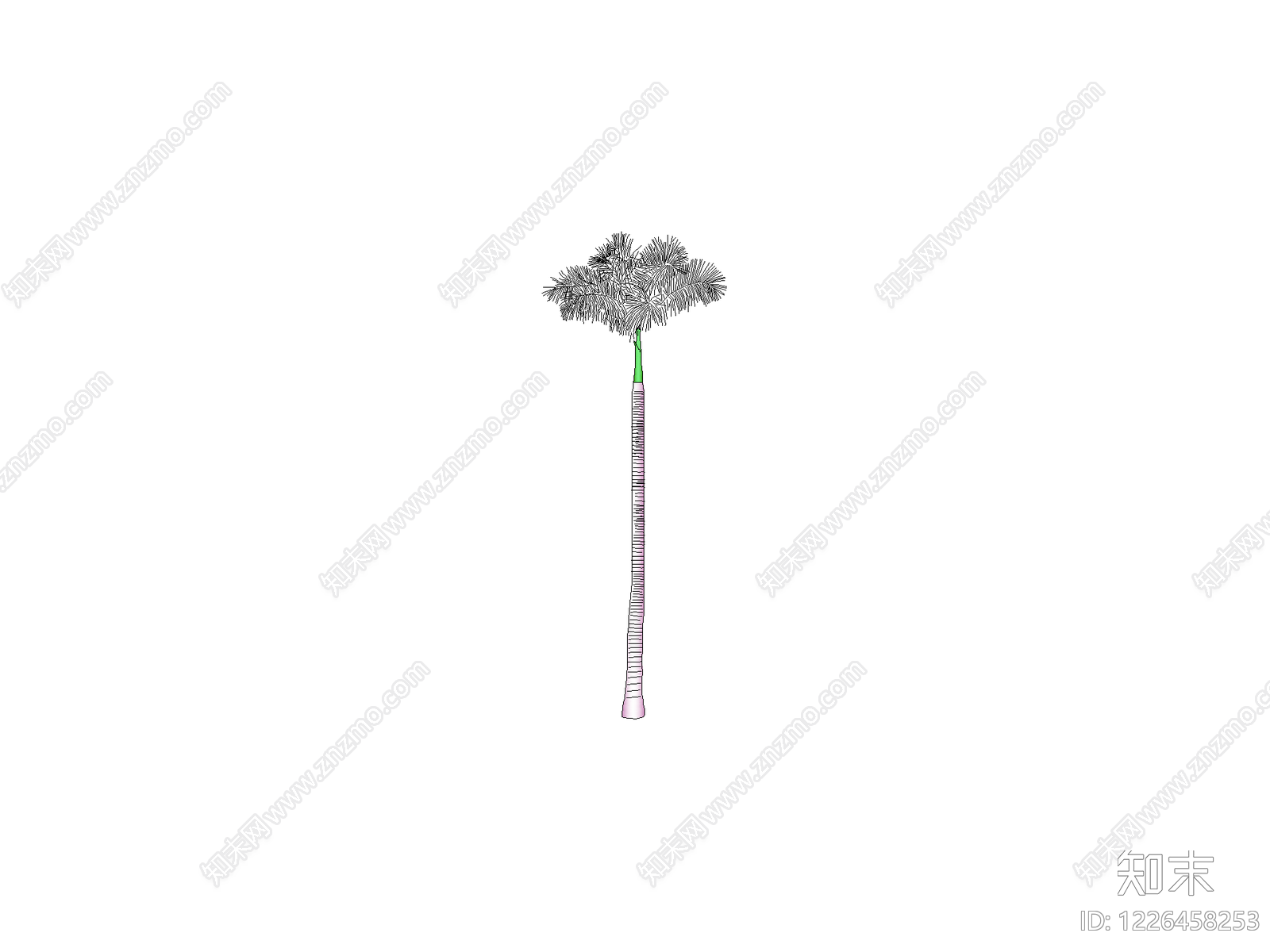 乔木种植CAD图纸