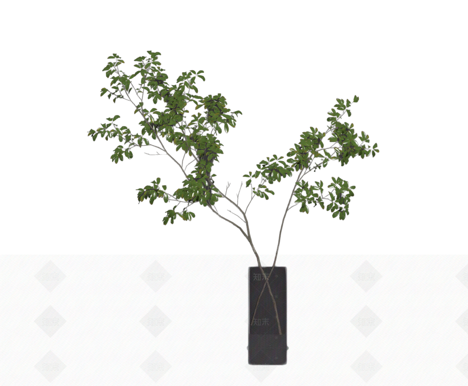带盆绿植盆栽3D模型下载【ID:1206204217】