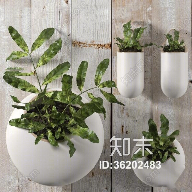 现代绿植盆栽组合3D模型下载【ID:36202483】