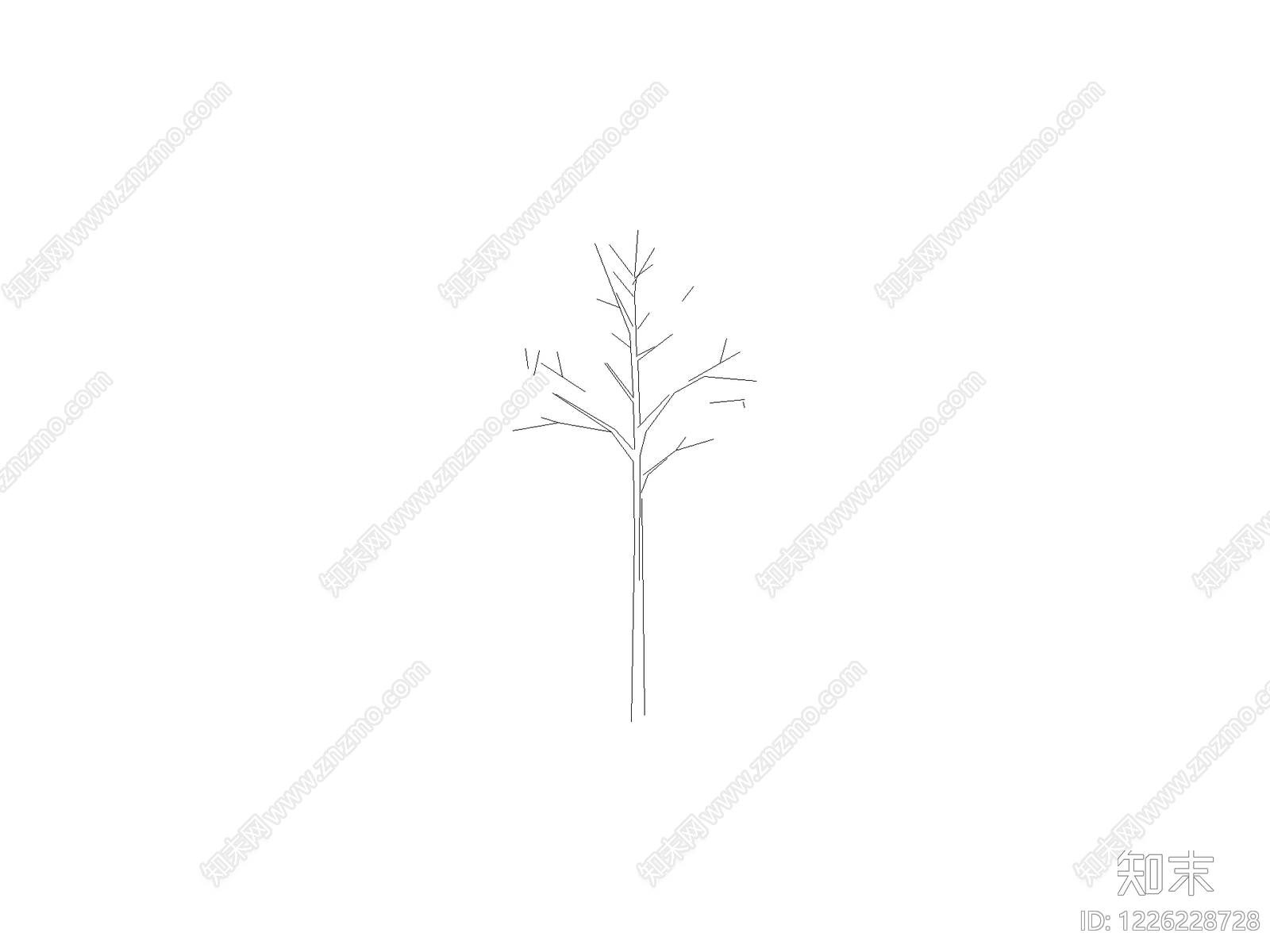乔木种植cad施工图下载【ID:1226228728】