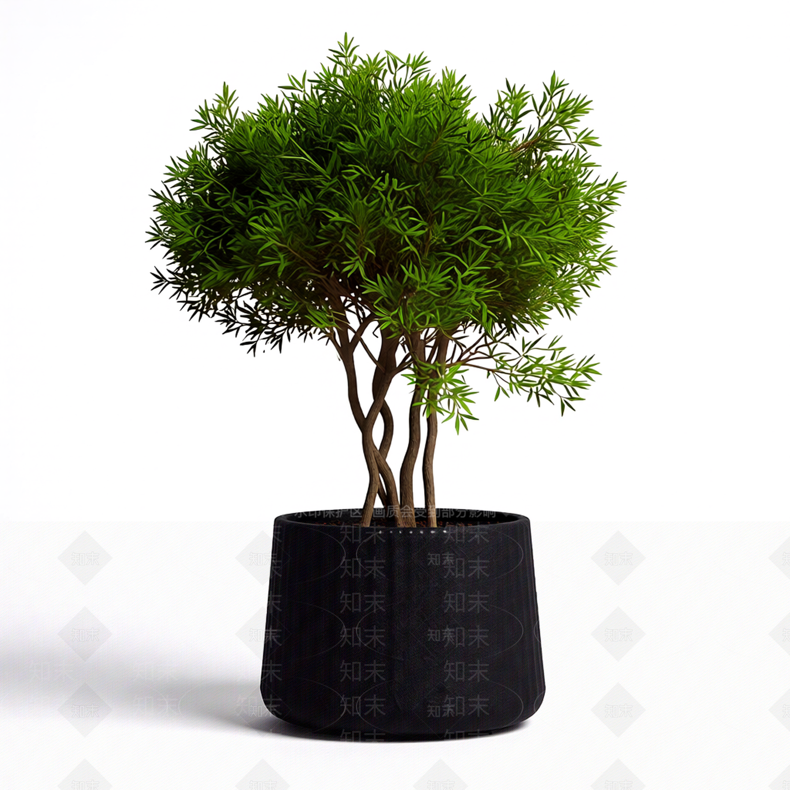 带盆完整盆栽3D模型下载【ID:1206189791】