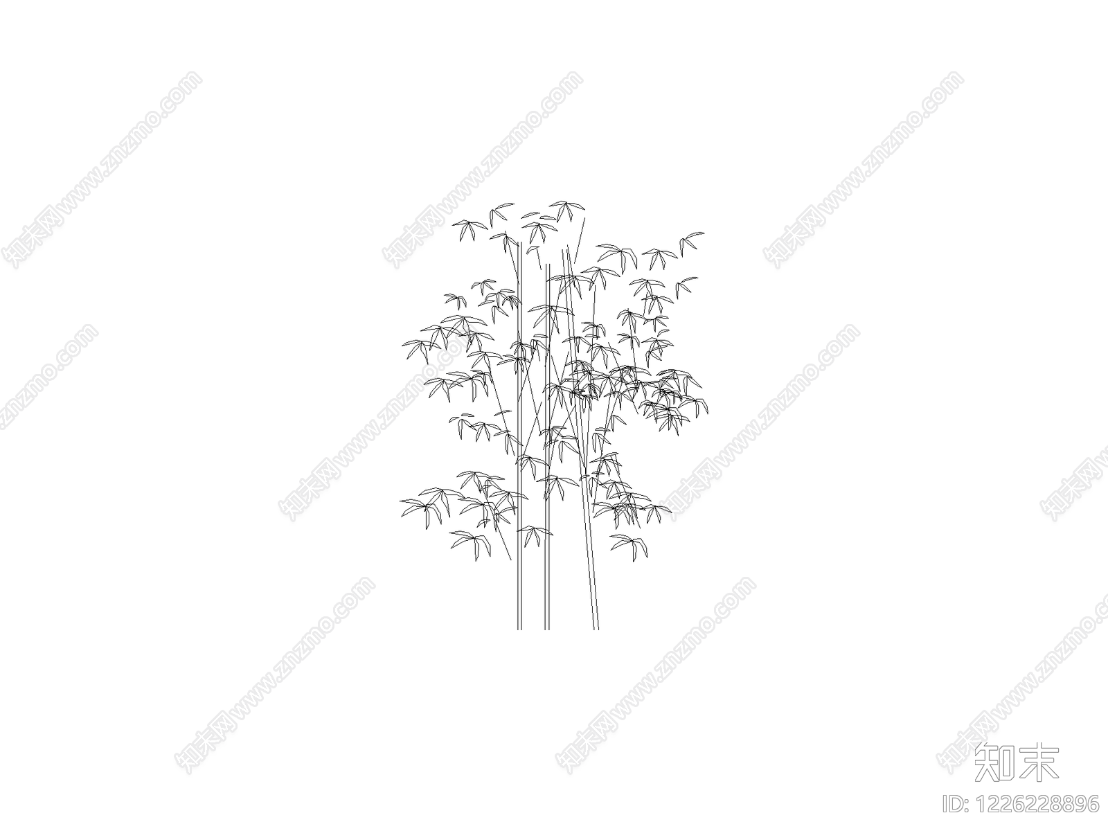 现代乔木种植CAD图纸