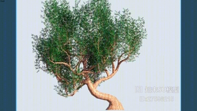 树SU模型下载【ID:119304663】