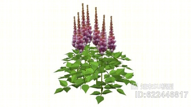 华夏矮落叶松SU模型下载【ID:622446817】