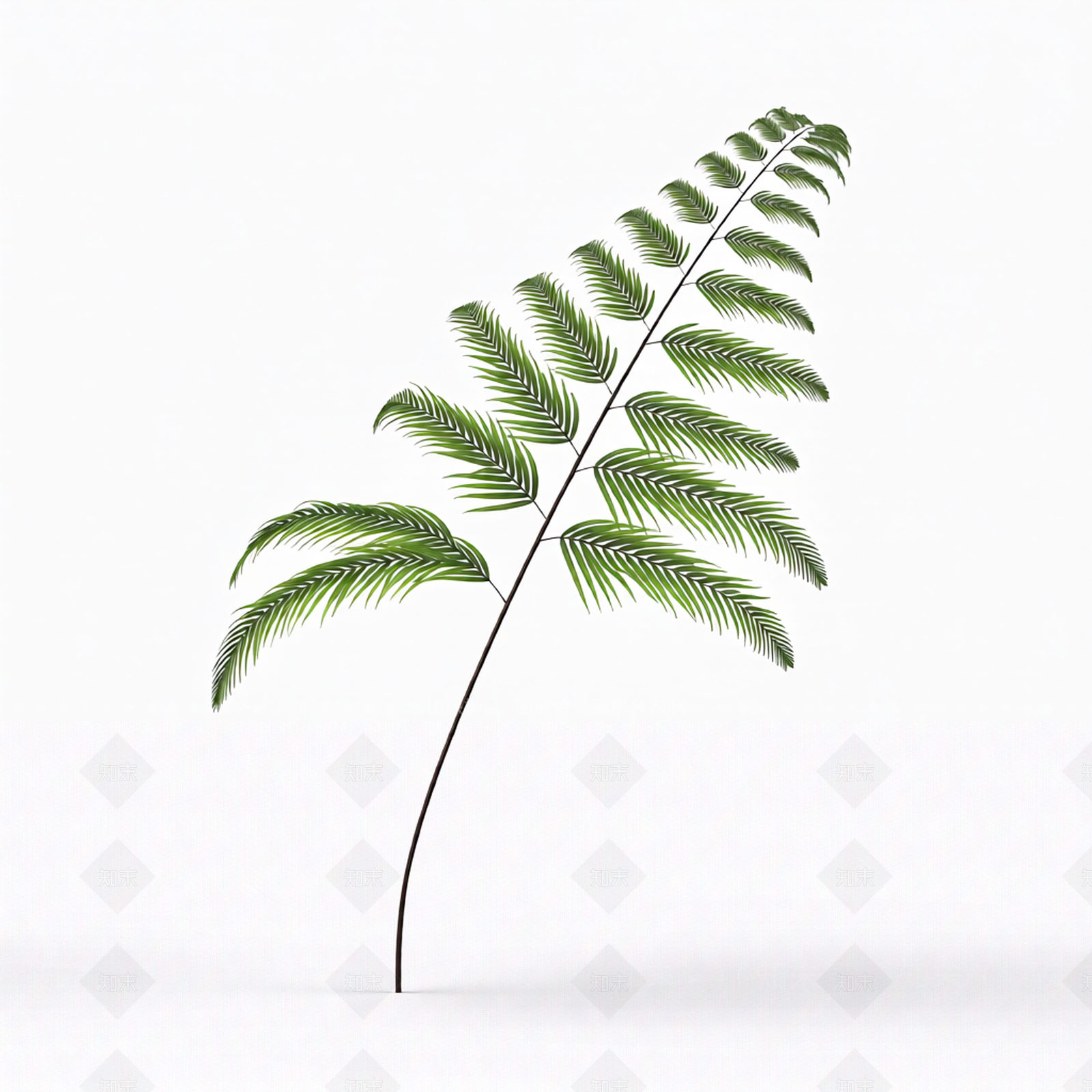 绿色枝叶植物模型3D模型下载【ID:1206186406】