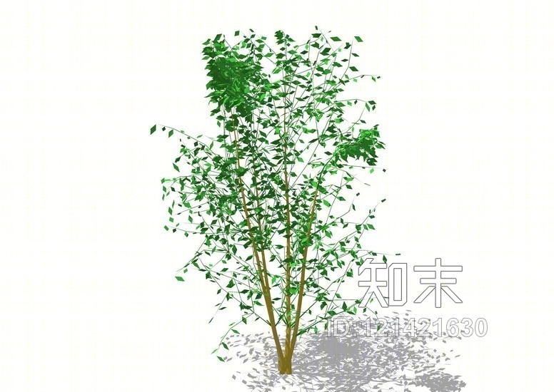 3D植物树SU模型下载【ID:121421630】