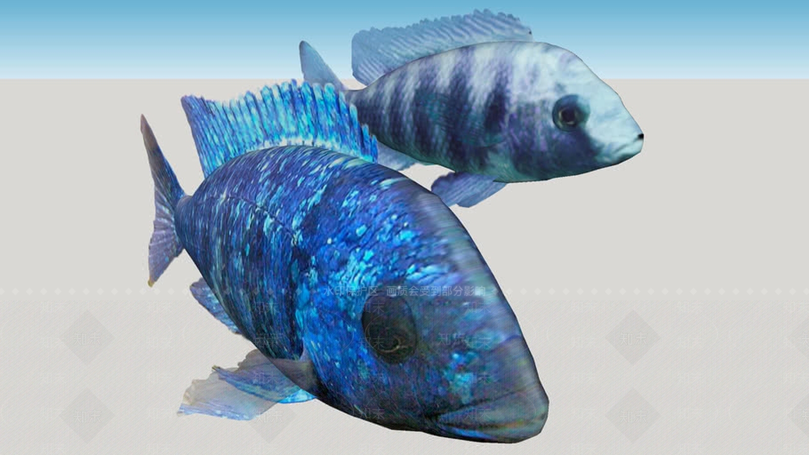 马拉维湖非洲环礁SU模型下载【ID:1162056445】