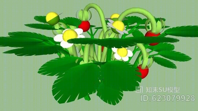 林地草莓SU模型下载【ID:623079928】