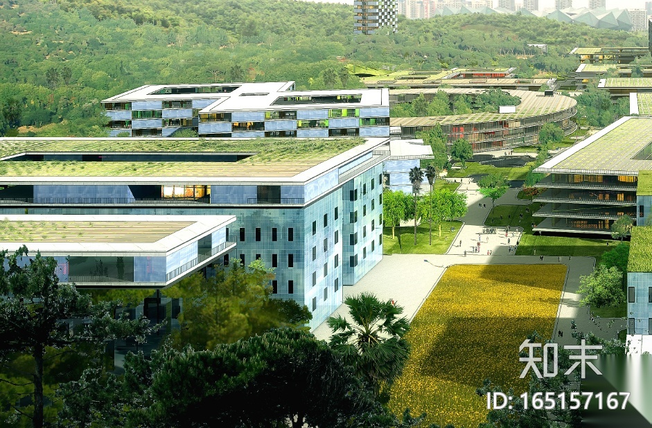 [广东]香港中文大学建筑规划设计方案文本cad施工图下载【ID:165157167】