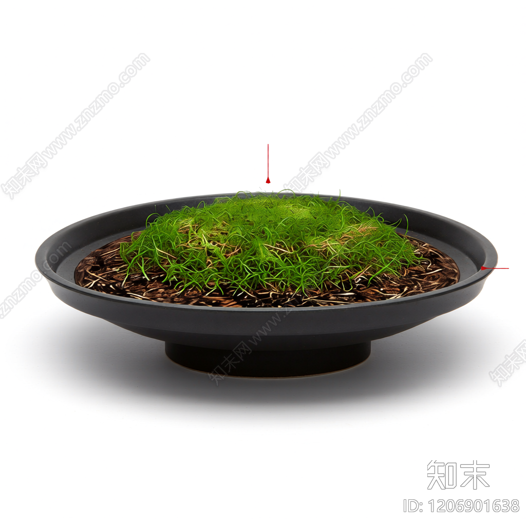 盆栽植物装饰品3D模型下载【ID:1206901638】
