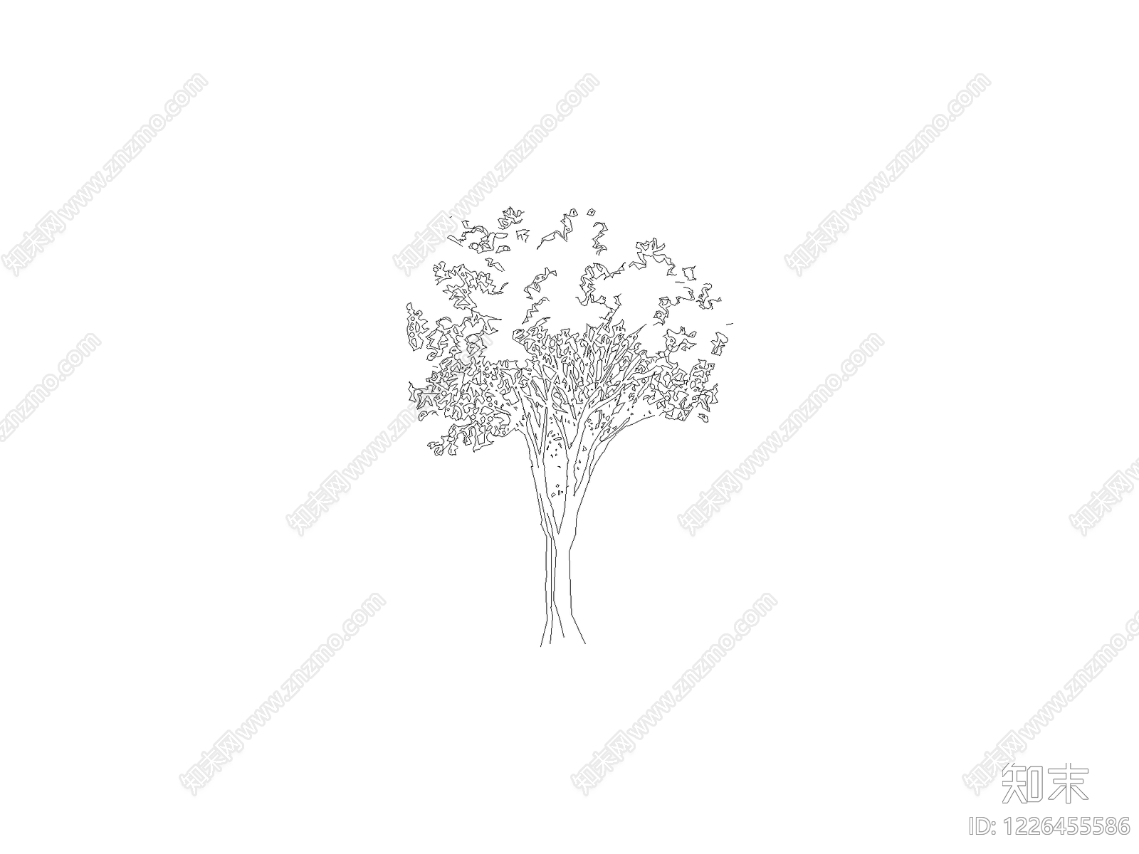乔木种植CAD图纸