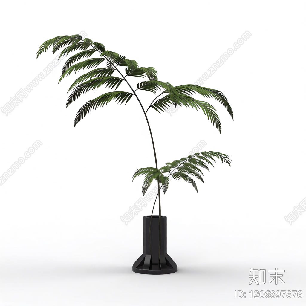 盆栽蕨类植物3D模型下载【ID:1206897876】