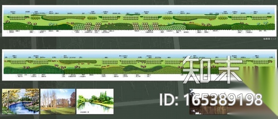 [上海]某河道滨水景观绿化设计图施工图下载【ID:165389198】