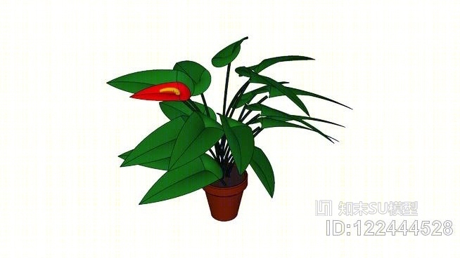 红掌SU模型下载【ID:122444528】