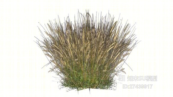 现代植物SU模型下载【ID:217984160】