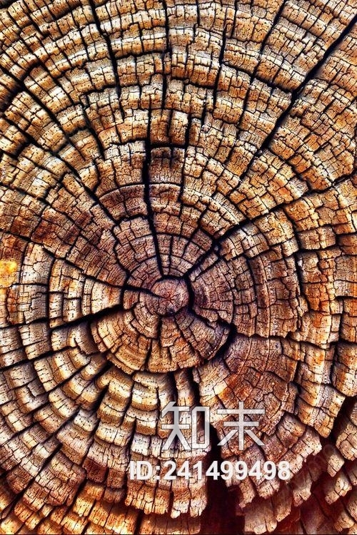 木头纹理木墩贴图下载【ID:241499498】
