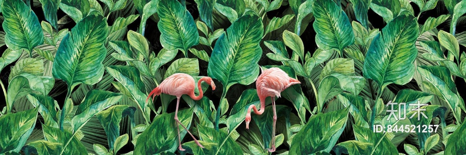超高清植物火烈鸟壁画墙纸贴图下载