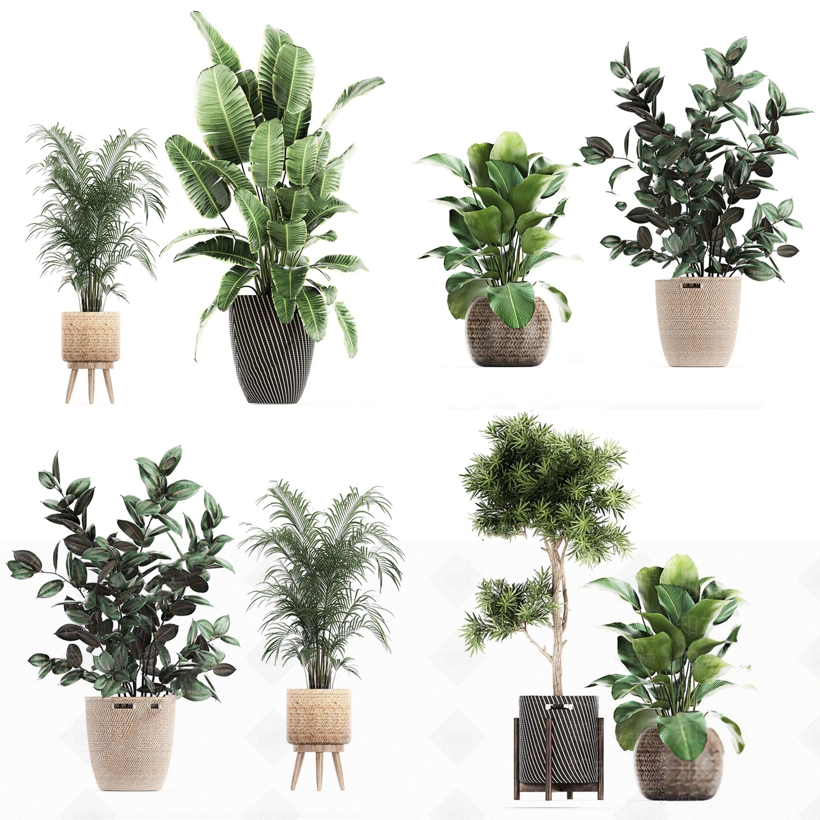 芭蕉叶3D模型下载【ID:1117080111】