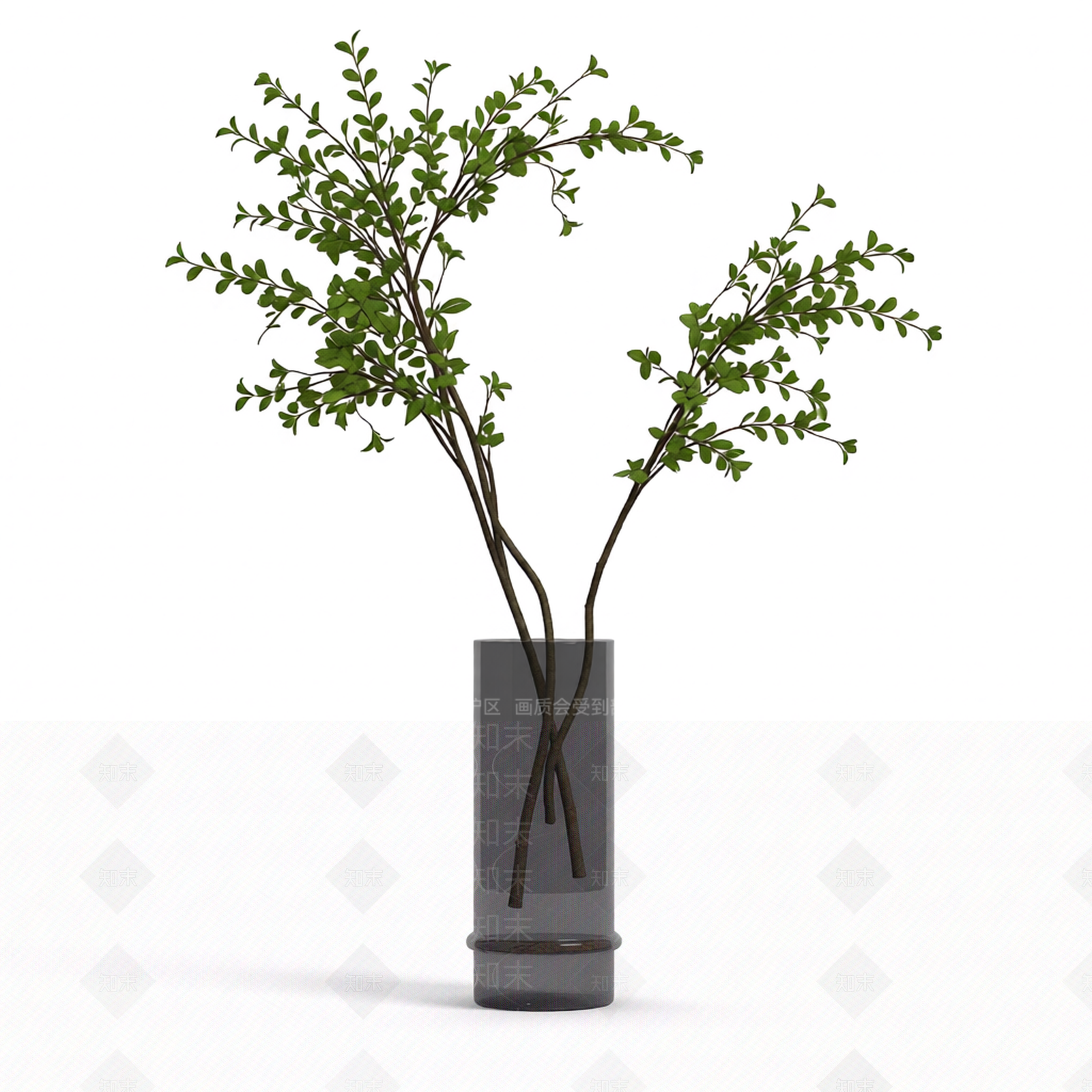 带盆枝叶盆栽3D模型下载【ID:1206203825】