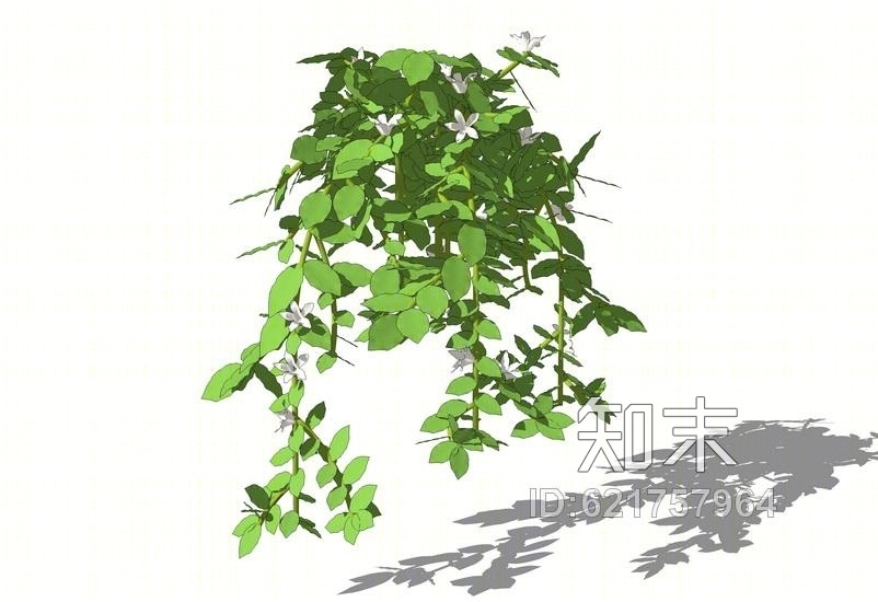 藤蔓爬墙植物SU模型下载【ID:621757964】