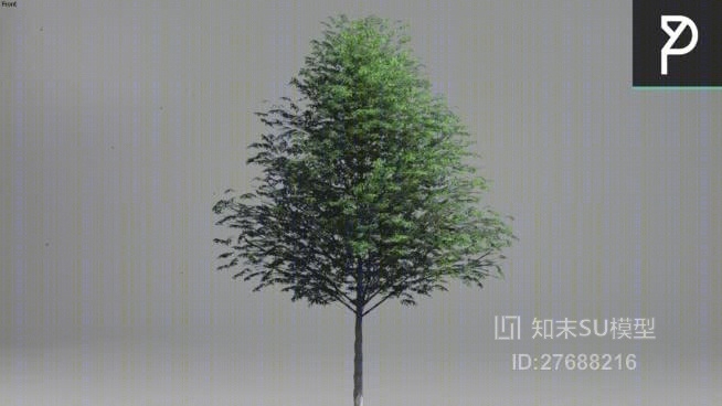 树SU模型下载【ID:27688216】