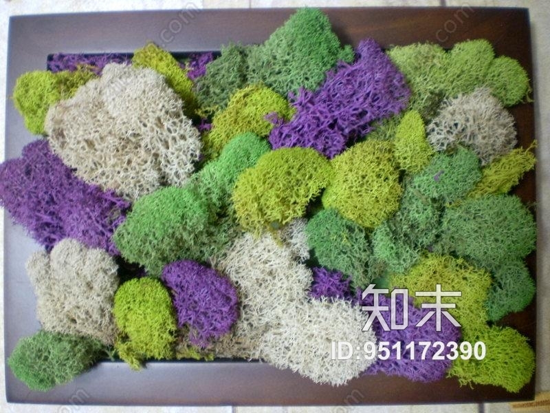 植物墙贴图下载【ID:951172390】