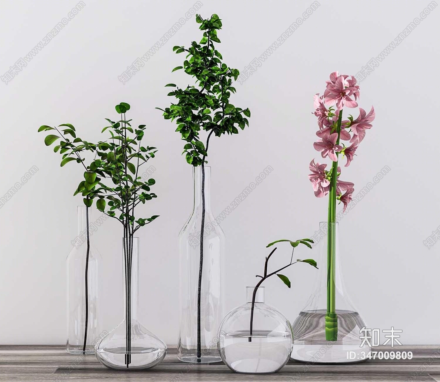 现代水生植物3D模型下载【ID:347009809】