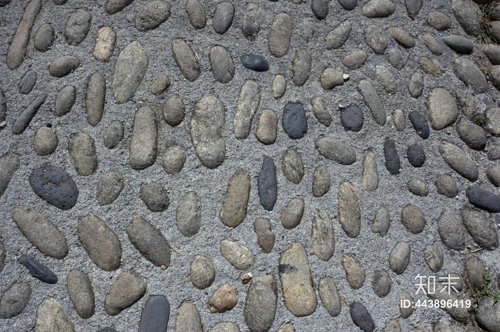 高清鹅暖石贴图贴图下载【ID:443896419】