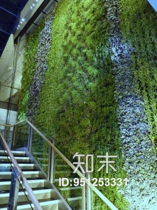 植物墙贴图下载【ID:951253331】