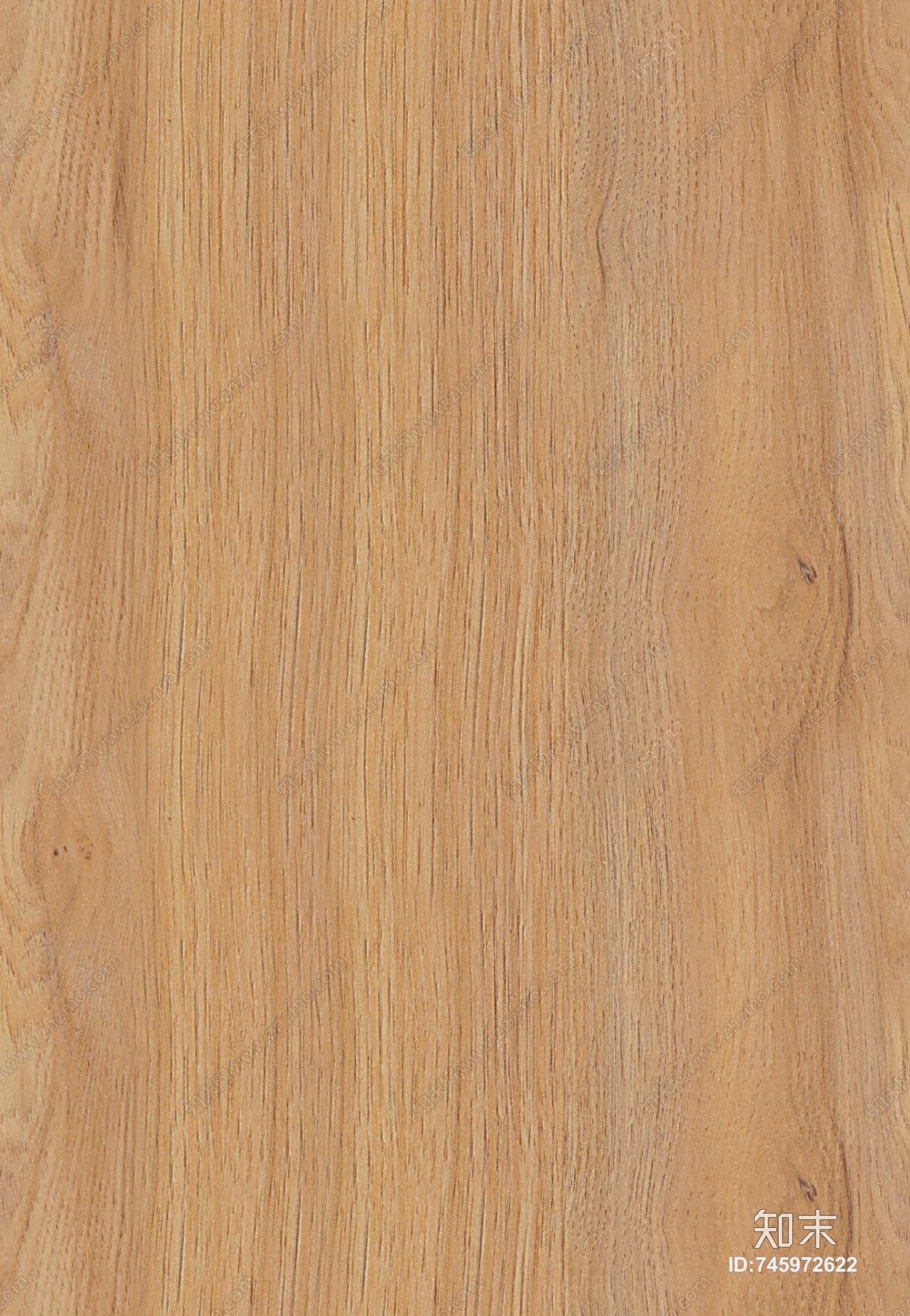 九州榆木12贴图下载【ID:745972622】